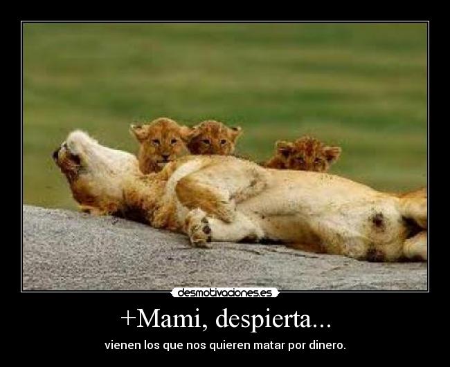 +Mami, despierta... -