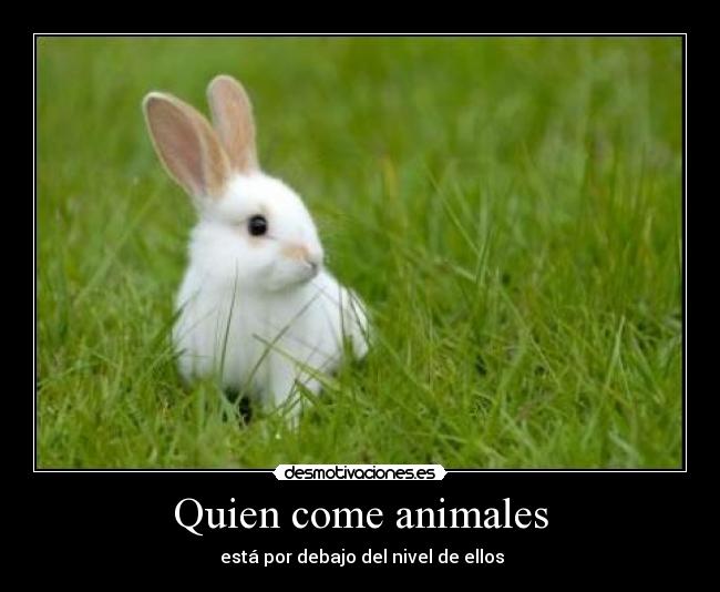 Quien come animales - está por debajo del nivel de ellos