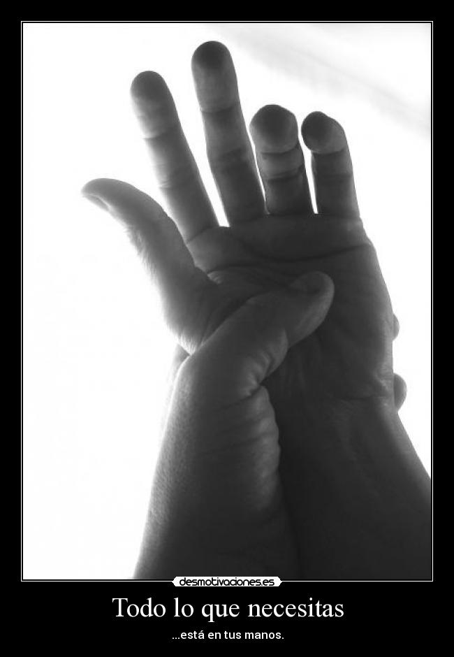 Todo lo que necesitas -