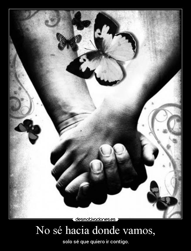 No sé hacia donde vamos, -