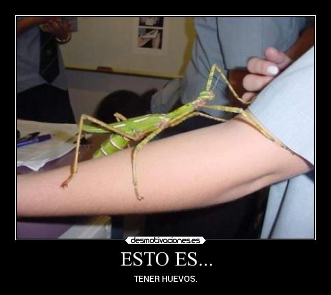 ESTO ES... - TENER HUEVOS.