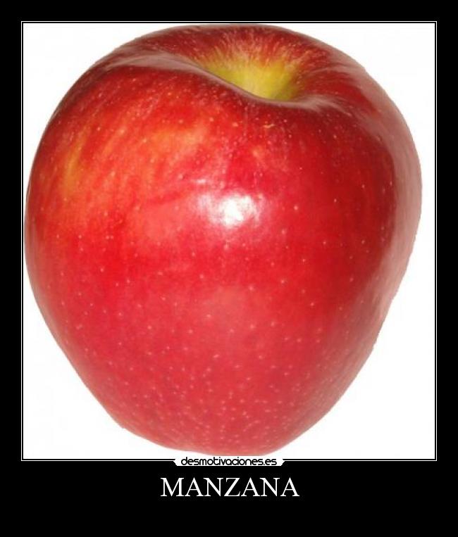 MANZANA -