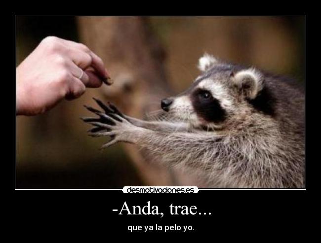 -Anda, trae... - que ya la pelo yo.