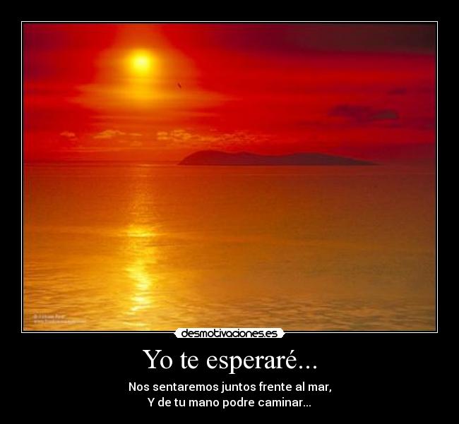 Yo te esperaré... - 