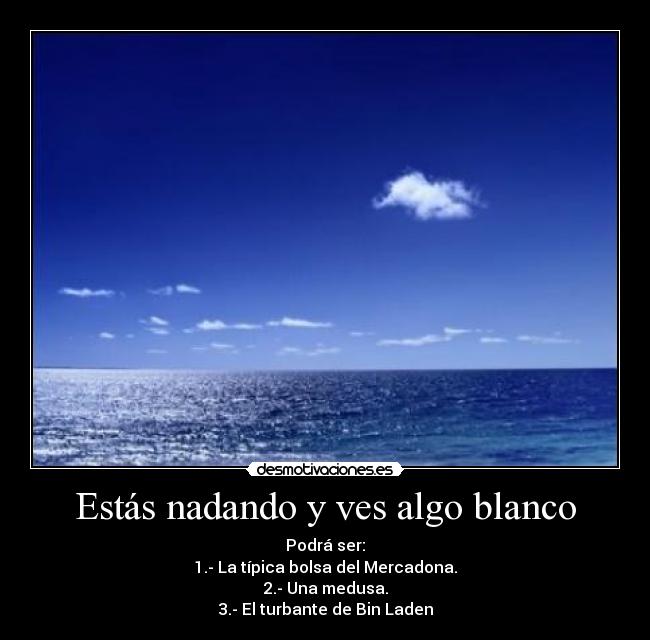 Estás nadando y ves algo blanco -