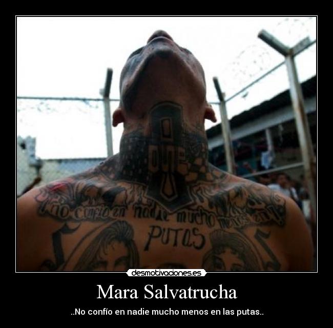 Mara Salvatrucha - ..No confío en nadie mucho menos en las putas..