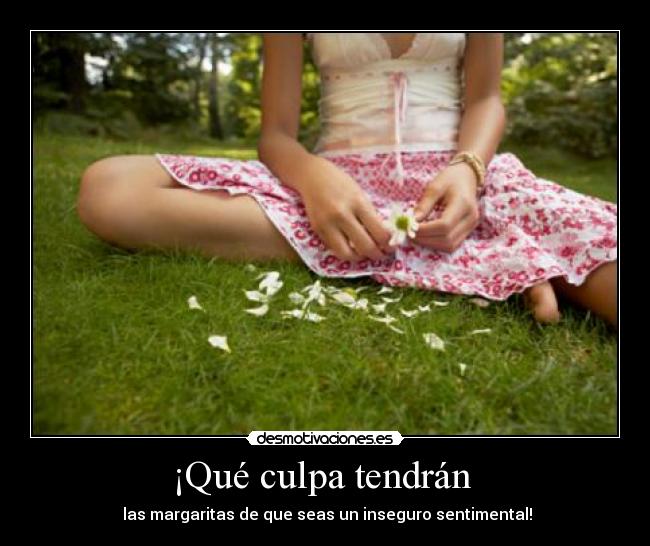 ¡Qué culpa tendrán -