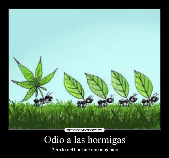 Odio a las hormigas - 