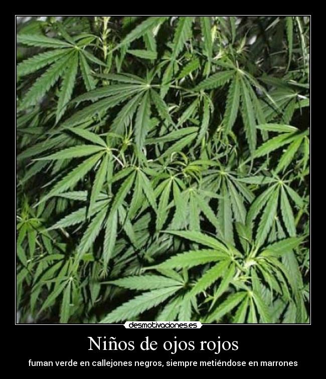 carteles fumar ninos verde rojo negro desmotivaciones