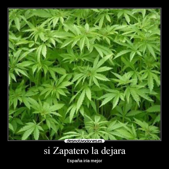 carteles zapatero dejara desmotivaciones