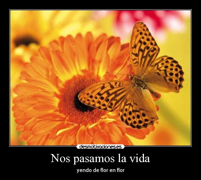 carteles vida amor desmotivaciones