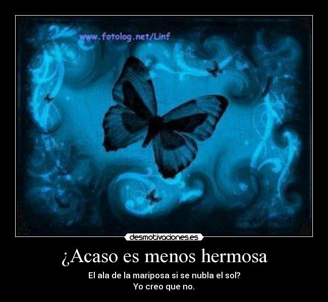 carteles mariposa desmotivaciones