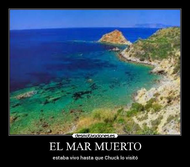 EL MAR MUERTO - 