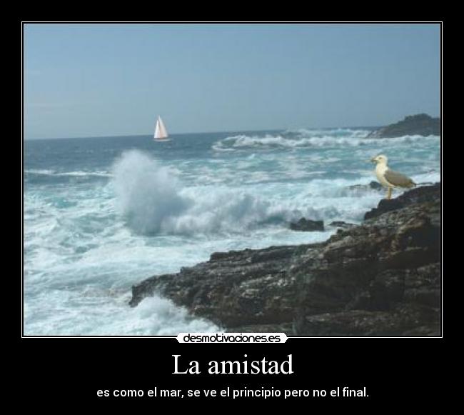 La amistad - es como el mar, se ve el principio pero no el final.