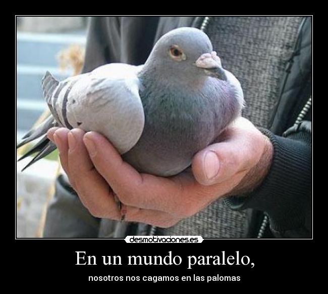 En un mundo paralelo, - nosotros nos cagamos en las palomas