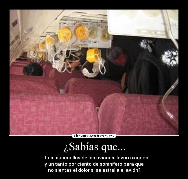 ¿Sabías que... - ... Las mascarillas de los aviones llevan oxigeno
y un tanto por ciento de somnífero para que
no sientas el dolor si se estrella el avión?
