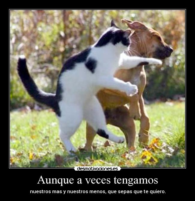 Aunque a veces tengamos -