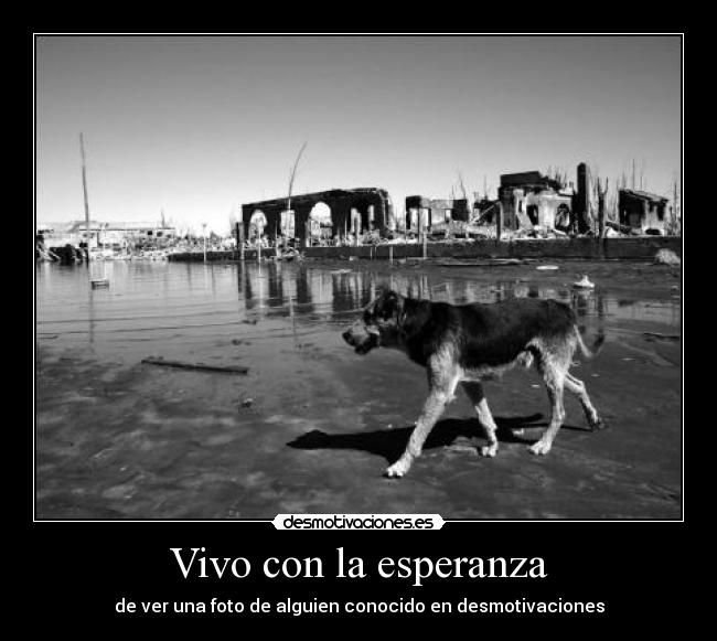 carteles esperanza esperanza ver una foto alguien desconocido foto perro blanco negro desmotivaciones