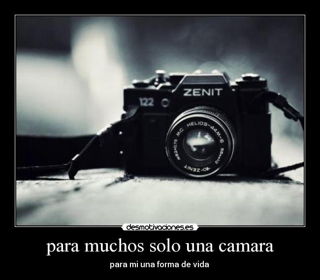 carteles camaras desmotivaciones