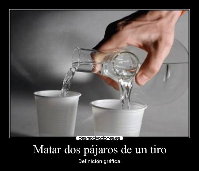 Matar dos pájaros de un tiro - Definición gráfica.