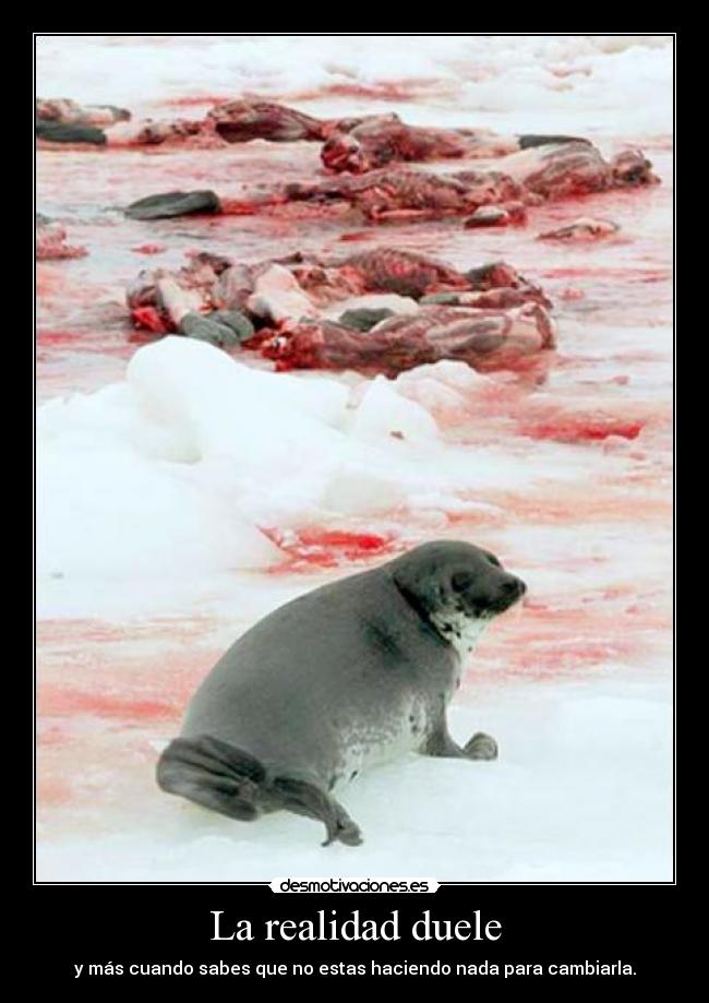 La realidad duele - y más cuando sabes que no estas haciendo nada para cambiarla.