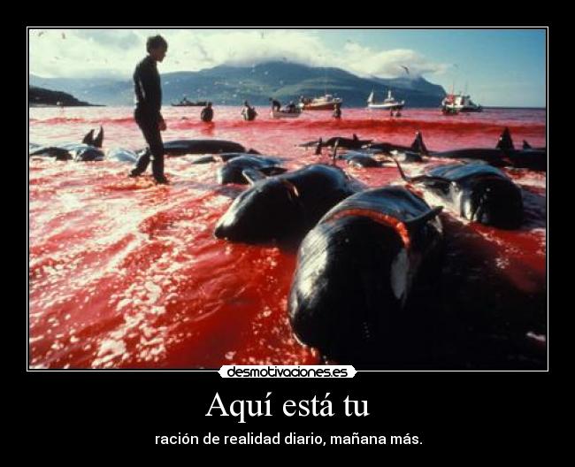 Aquí está tu - ración de realidad diario, mañana más.