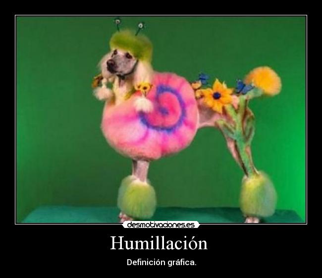 Humillación -