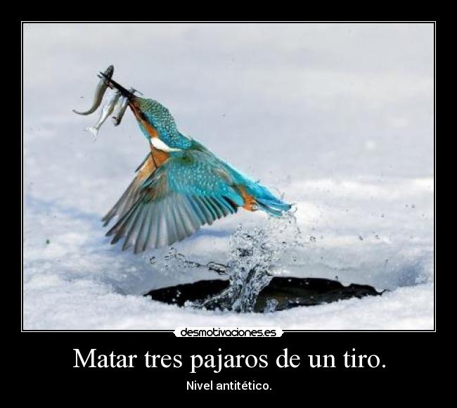 Matar tres pajaros de un tiro. - 