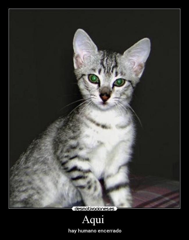 Aqui  - hay humano encerrado