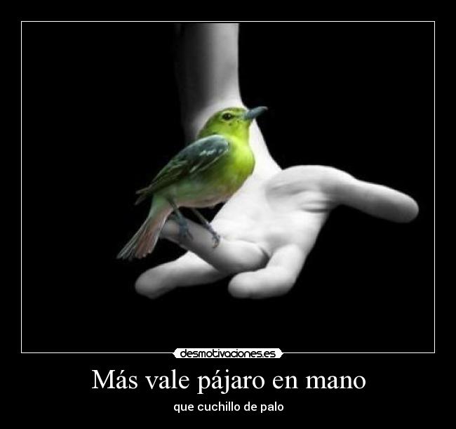 Más vale pájaro en mano - 