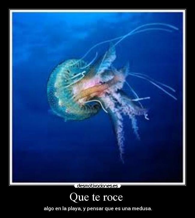 Que te roce - algo en la playa, y pensar que es una medusa.