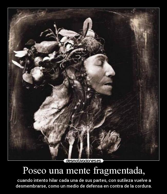 carteles mente desmotivaciones