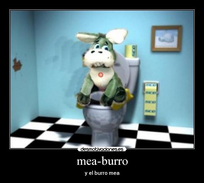 mea-burro - 