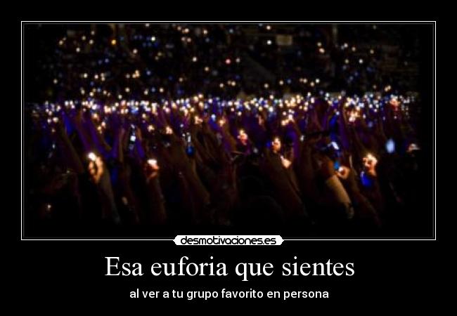 Esa euforia que sientes -