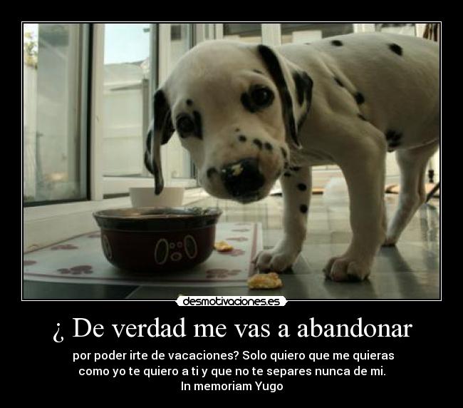 carteles yugo desmotivaciones