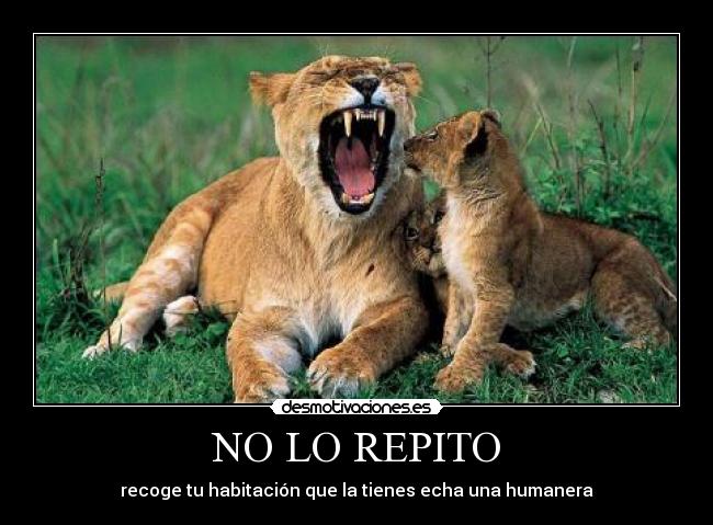 NO LO REPITO -