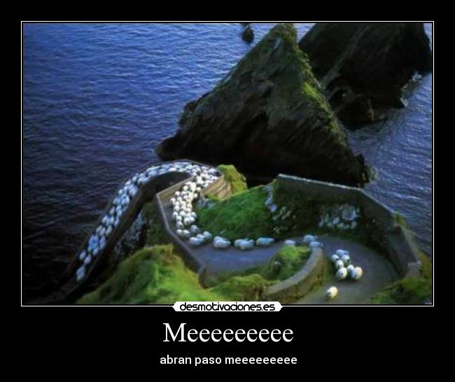 Meeeeeeeee - abran paso meeeeeeeee