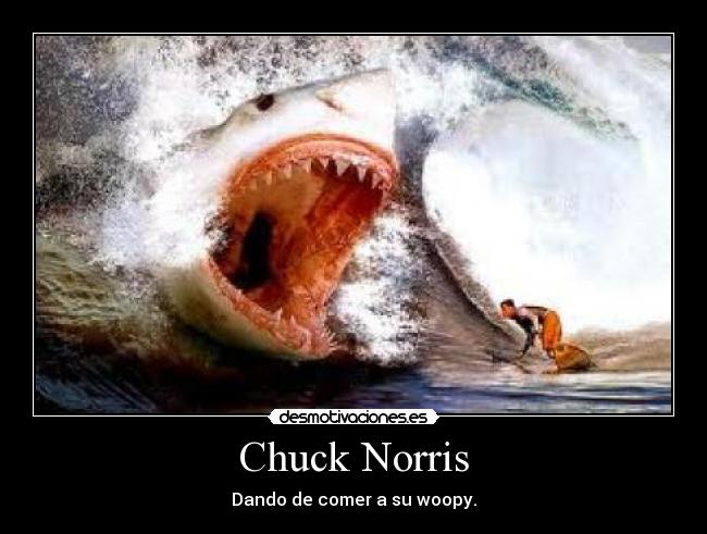 Chuck Norris -