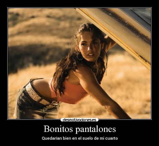 carteles bonitos pantalones megan fox desmotivaciones