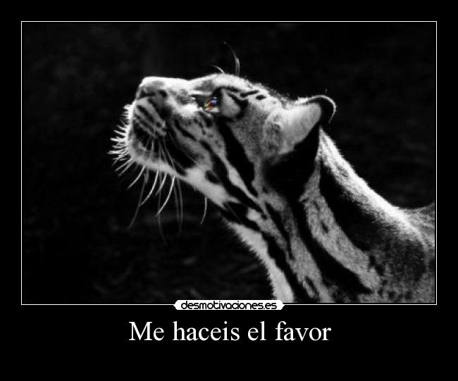 Me haceis el favor - 