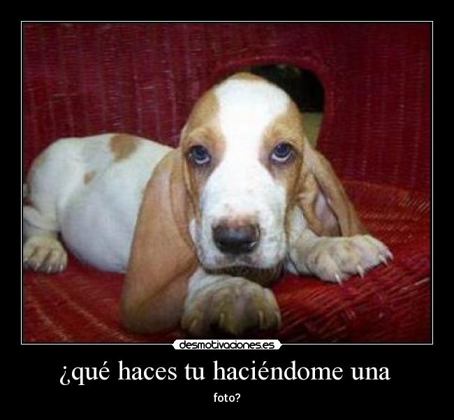 ¿qué haces tu haciéndome una -