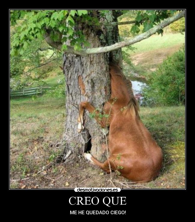 CREO QUE -