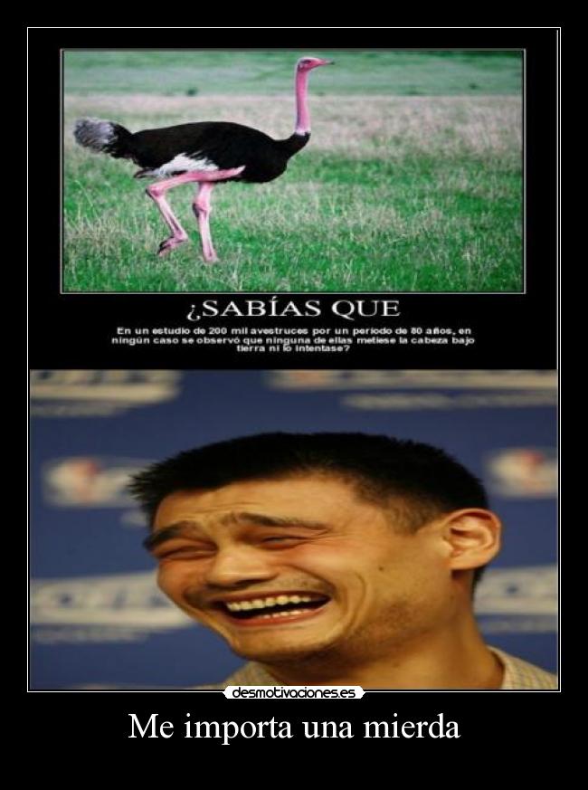 Me importa una mierda -