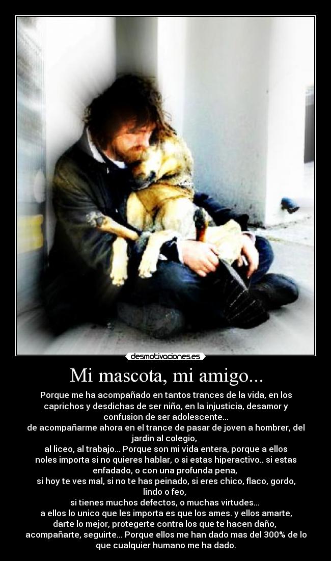 Mi mascota, mi amigo... - Porque me ha acompañado en tantos trances de la vida, en los
caprichos y desdichas de ser niño, en la injusticia, desamor y
confusion de ser adolescente...
de acompañarme ahora en el trance de pasar de joven a hombrer, del
jardin al colegio, 
al liceo, al trabajo... Porque son mi vida entera, porque a ellos
noles importa si no quieres hablar, o si estas hiperactivo.. si estas
enfadado, o con una profunda pena, 
si hoy te ves mal, si no te has peinado, si eres chico, flaco, gordo,
lindo o feo, 
si tienes muchos defectos, o muchas virtudes... 
a ellos lo unico que les importa es que los ames. y ellos amarte,
darte lo mejor, protegerte contra los que te hacen daño, 
acompañarte, seguirte... Porque ellos me han dado mas del 300% de lo
que cualquier humano me ha dado.