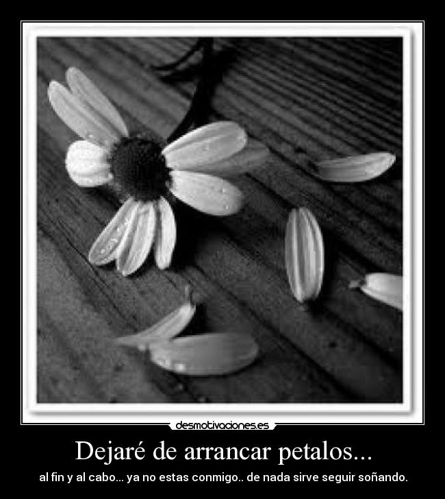 Dejaré de arrancar petalos... - al fin y al cabo... ya no estas conmigo.. de nada sirve seguir soñando.