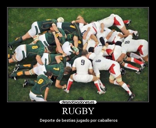 RUGBY - Deporte de bestias jugado por caballeros