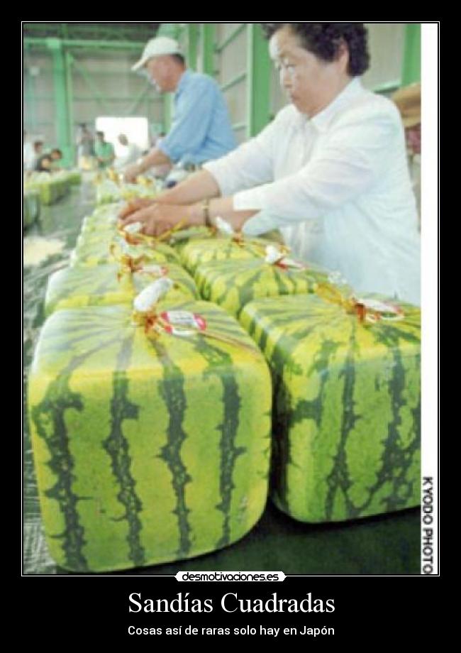 Sandías Cuadradas Desmotivaciones
