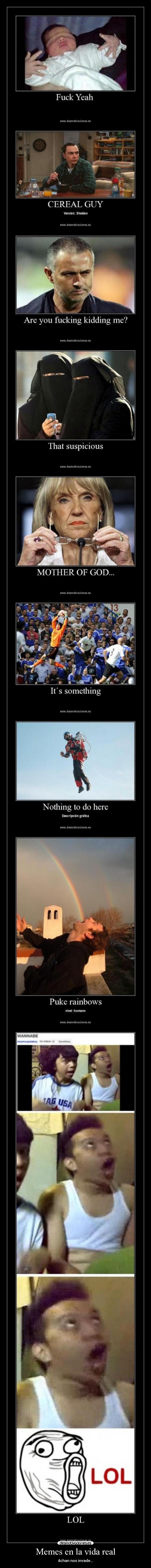 Memes en la vida real -