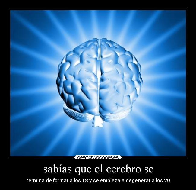 sabías que el cerebro se -