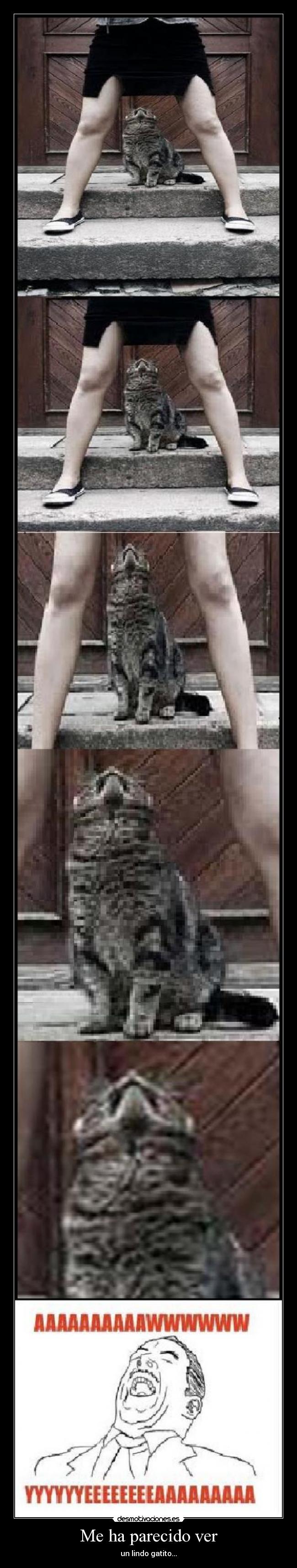 Me ha parecido ver - 